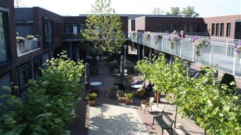 dementia village in netherlands|The Dutch Village Where Everyone Has Dementia.